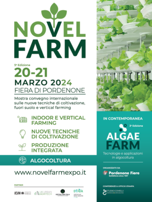 NovelFarm 2024