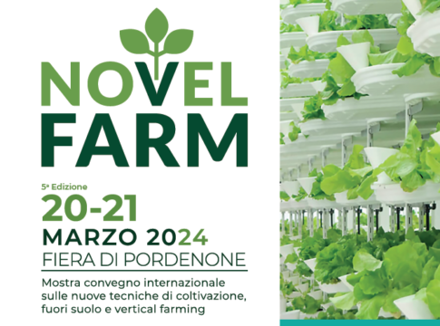 NovelFarm 2024