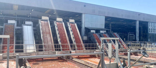 pomodoro da industria