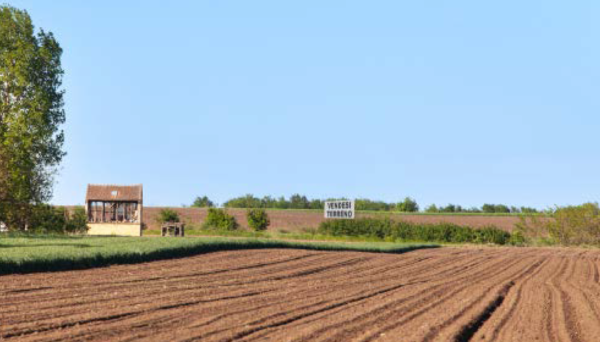 terreni agricoli