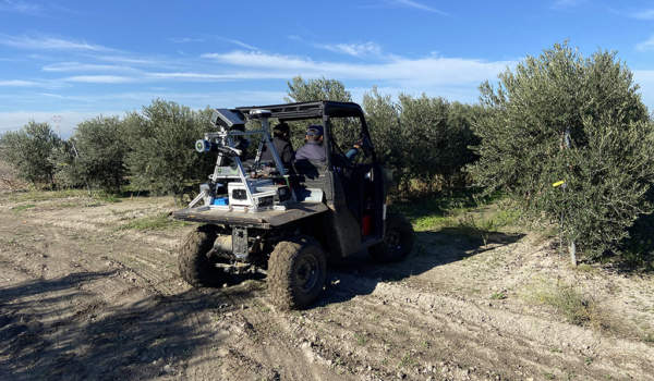 monitoraggio oliveto