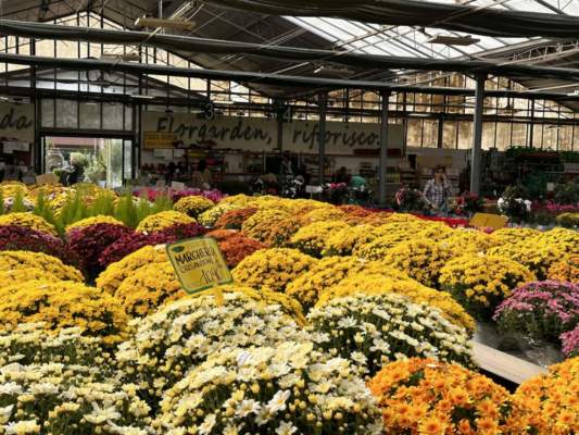 Il nuovo assetto del florovivaismo: obiettivi, strumenti e prospettive
