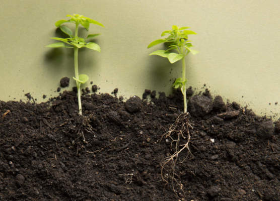 La Salute del suolo italiano ai tempi della crisi climatica