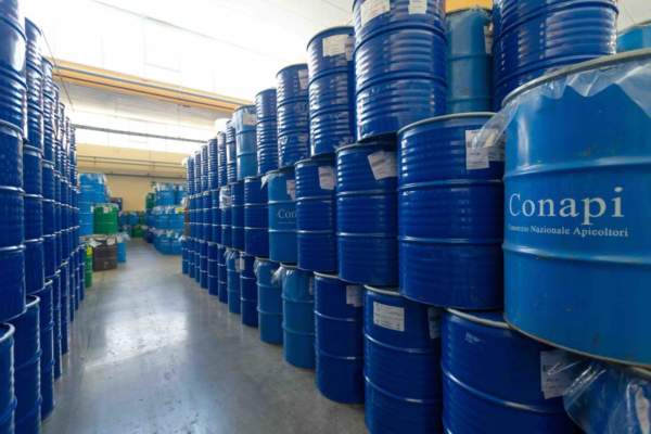 apicoltura