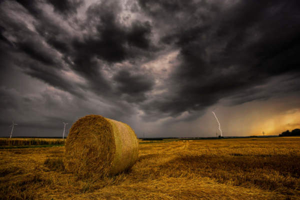 cambiamento climatico