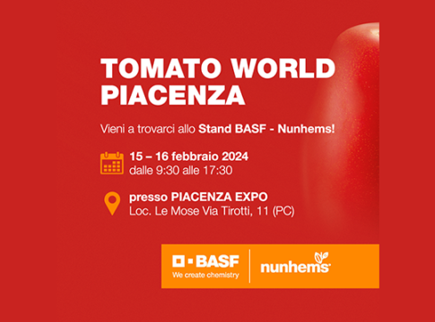 basf tomato world