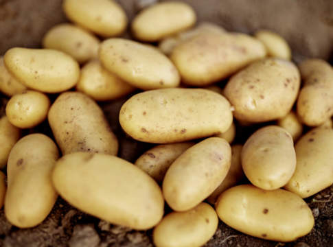 Patate straniere vendute come italiane, truffa scoperta dalla Finanza patate