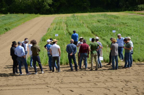 giornata di formazione agroecologica