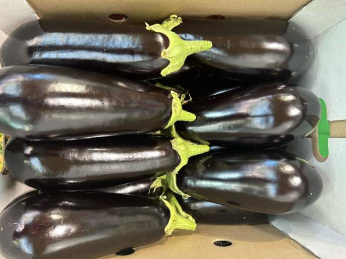 Melanzane cassa prezzi ortofrutta