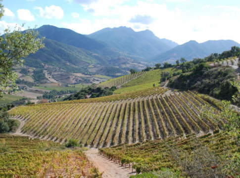 Sardegna, 50 milioni per 17 Gal, ecco quali Gal