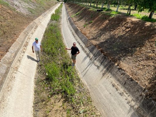 tarantino basilicata