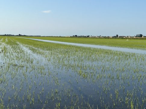 Lago Maggiore, accordo Italia-Svizzera per portare più acqua alle risaie