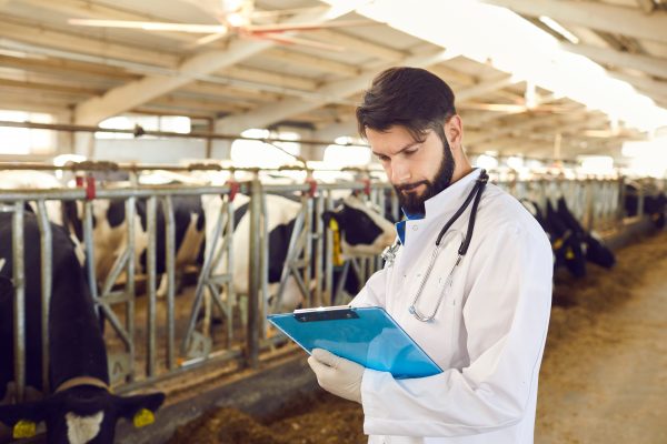 L’Europa cambia passo sulla salute animale: più prevenzione, vaccini e biosicurezza