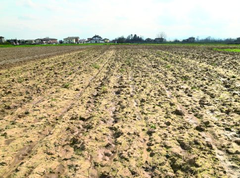 Suoli agricoli, la Lombardia entra nel progetto europeo Solila