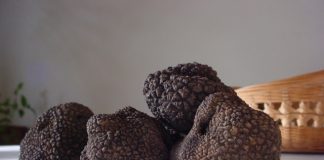 Tartufo nero