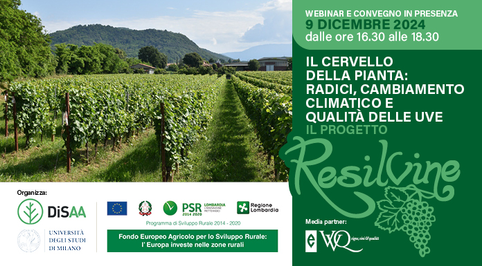 An image representing Il cervello della pianta: radici, cambiamento climatico e qualità delle uve. Il progetto Resilvine