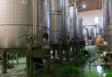 Così l’Unione europea riscrive le regole del vino vino