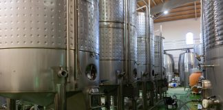 Così l’Unione europea riscrive le regole del vino vino