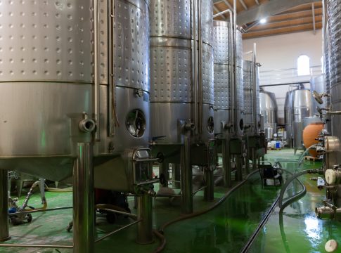 Così l’Unione europea riscrive le regole del vino vino