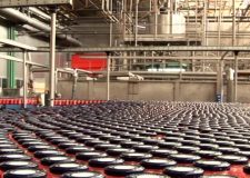 pomodoro da industria