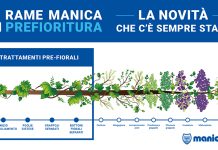 rame in prefioritura