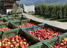 Fondi mutualistici, da Agea oltre 26 milioni al Codipra Trento fondi mutualistici