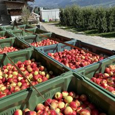 Fondi mutualistici, da Agea oltre 26 milioni al Codipra Trento fondi mutualistici