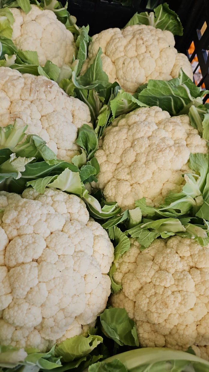 cavolfiori