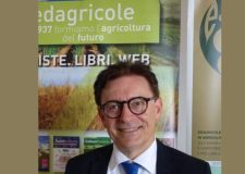 burocrazia