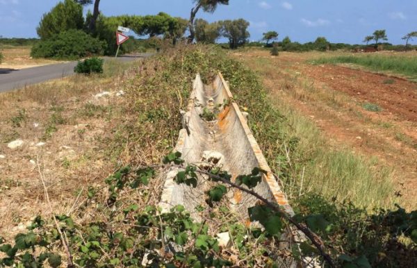 confagricoltura puglia
