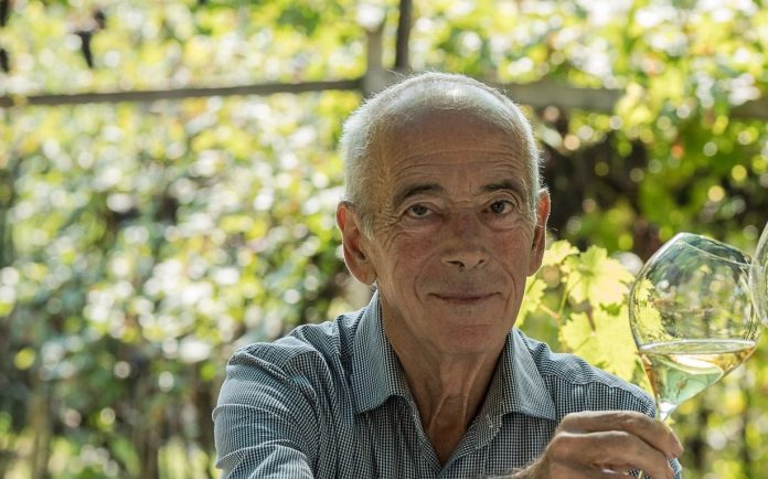 Francesco Spagnolli Fem