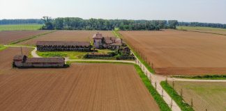 agricoltura lombarda