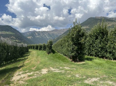 Alto Adige