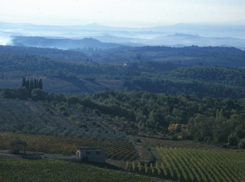 Foreste, la Toscana stanzia 12 milioni per la tutela foreste