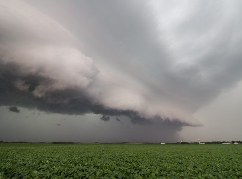 Dazi, guerra e mercati: tempesta perfetta sull’agricoltura europea dazi guerra