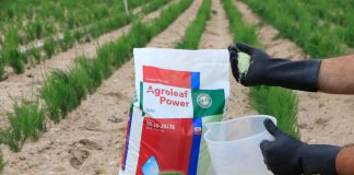 concimazione fogliare