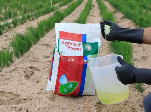 Concimazione fogliare: le 4 regole per renderla efficace concimazione fogliare