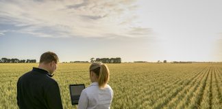 agricoltura rigenerativa viterra