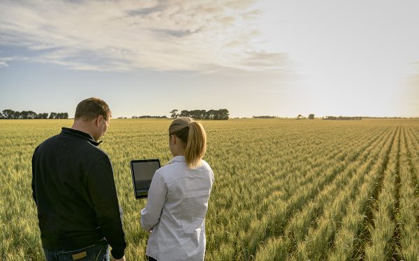 agricoltura rigenerativa viterra