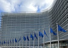 Liberalizzazioni, ricerca e zootecnia: l’agricoltura europea riscrive le priorità agricoltura europea