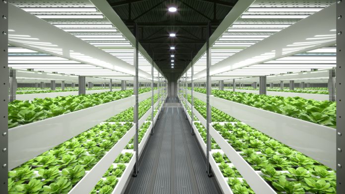 edifici non agricoli