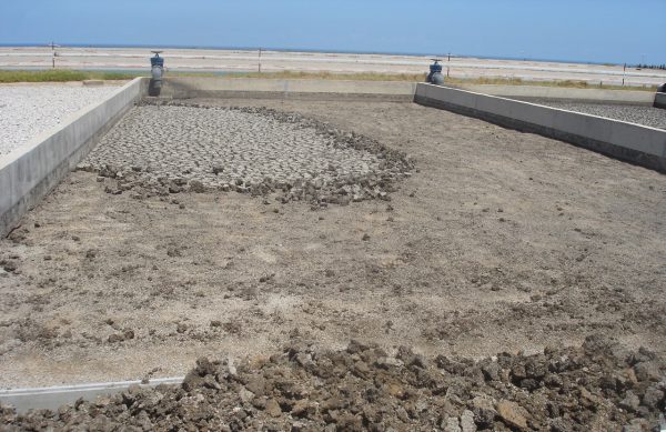 fanghi di depurazione