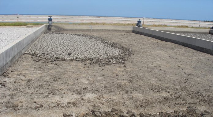 fanghi di depurazione