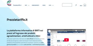 Bmti