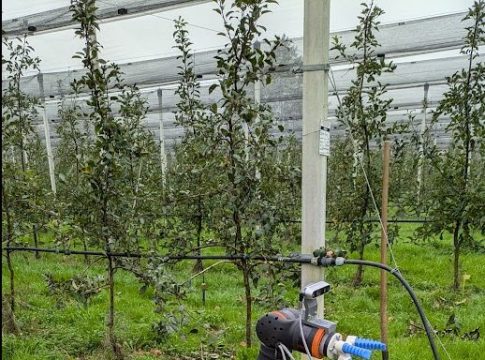 Rebel, un nuovo robot per la raccolta delle mele