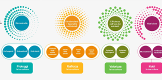 Syngenta Biologicals