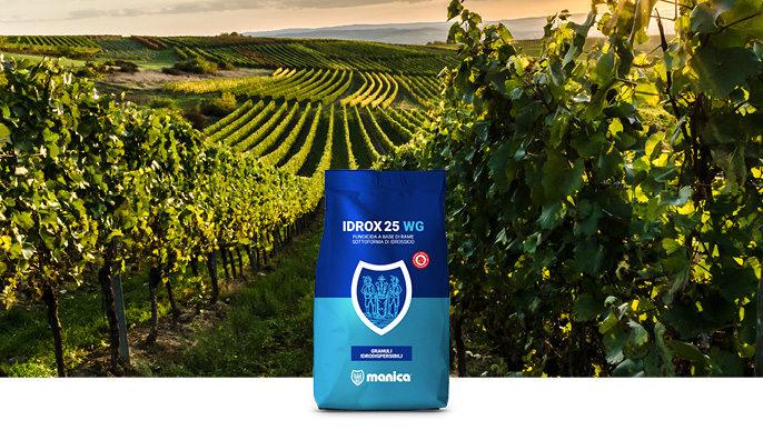 fungicida IDROX 25 di Manica fungicida Idrox