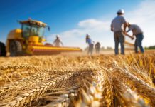 Assunzioni congiunte, come funzionano e chi può farle assunzioni