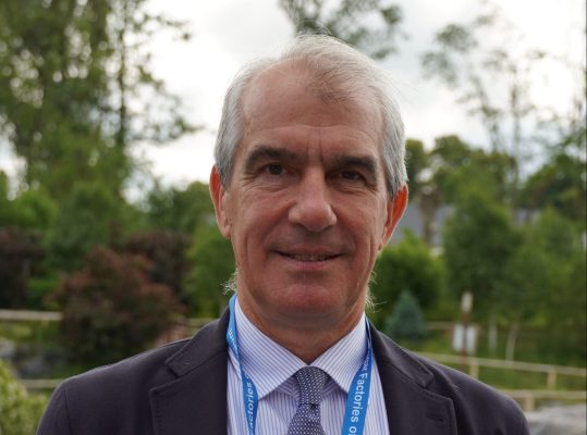 barbabietola da zucchero