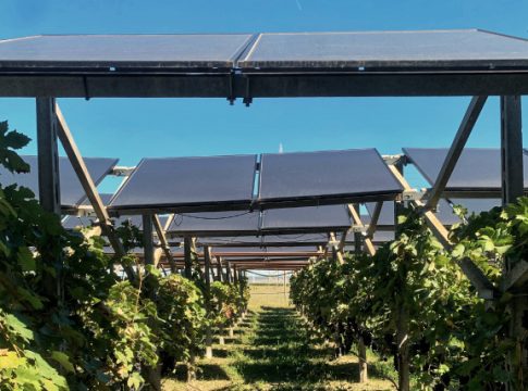 agrivoltaico
